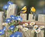 (image for) Morning Glories And Finches